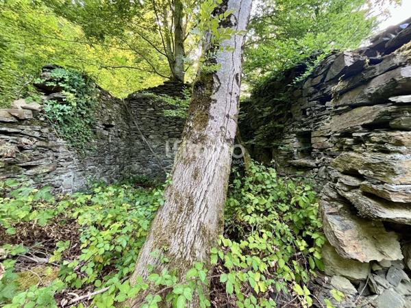 Terrain forestier 10 620 m² avec ancienne bergerie