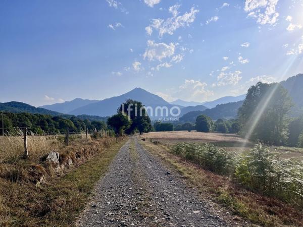 Terrain forestier 10 620 m² avec ancienne bergerie