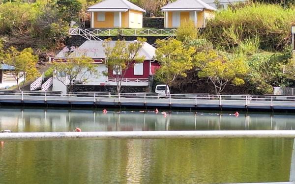 Terrain à vendre    Cilaos