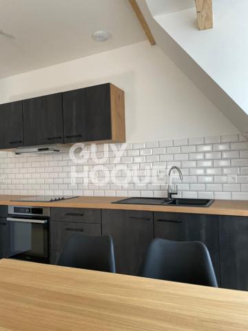 LOCATION APPARTEMENT MEUBLE DUPLEX A MULHOUSE