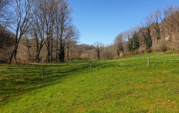 Vente Maison Saint-leonard-de-noblat   