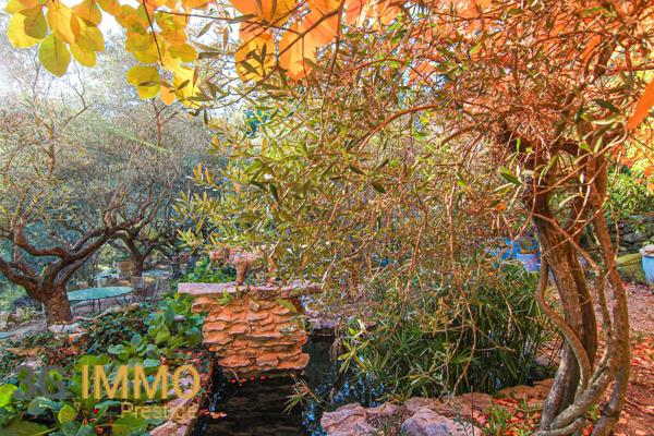 Vente / Ensemble de 2 maisons