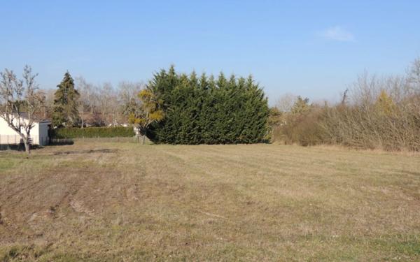 Terrain à vendre    Selles-sur-Cher