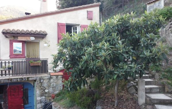 Vente Maison Vue exceptionnelle mer montagnes Ceret   