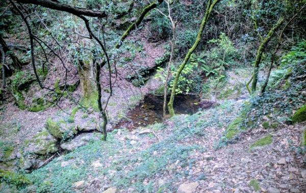 Vente Maison Vue exceptionnelle mer montagnes Ceret   