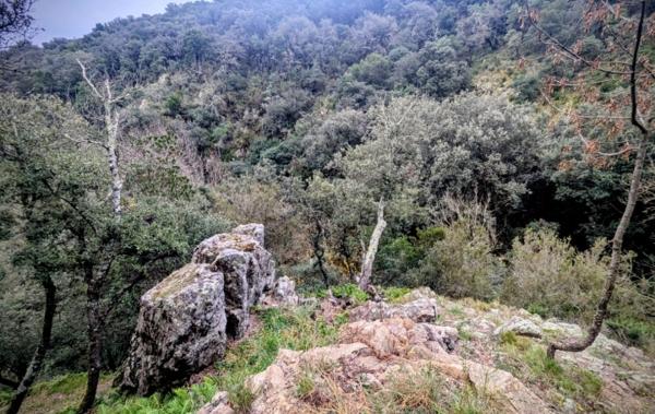 Vente Maison Vue exceptionnelle mer montagnes Ceret   