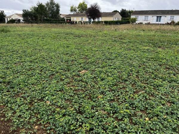 Terrain à vendre |  Tesson |  750 m²