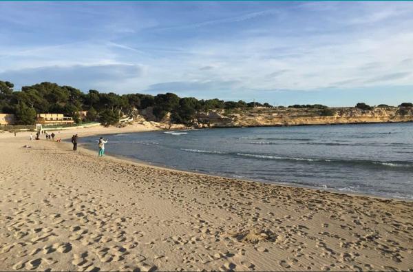 Cote bleue ,Carro plage, Maison 4 pièces de  85 m2 ,face à la mer ,avec grande terrasse et jardin