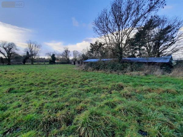 Maison à vendre à Challans en Vendée (85300), ref : 85091-5191