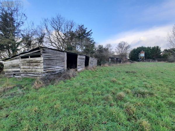 Maison à vendre à Challans en Vendée (85300), ref : 85091-5191