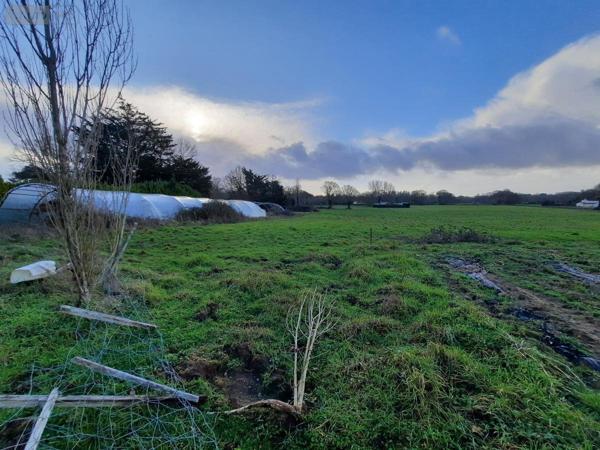 Maison à vendre à Challans en Vendée (85300), ref : 85091-5191