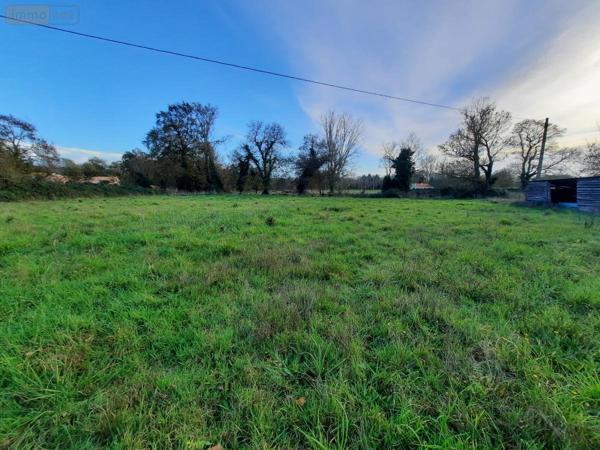 Maison à vendre à Challans en Vendée (85300), ref : 85091-5191