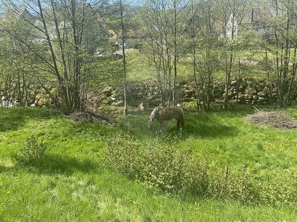 Terrain  en vente - Haut-Rhin - 68