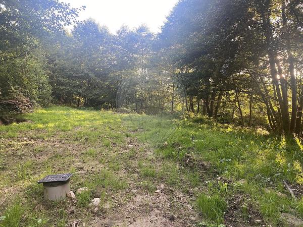 Terrain  en vente - Haut-Rhin - 68