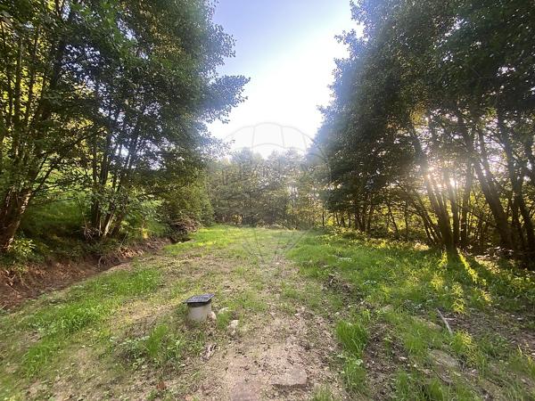 Terrain  en vente - Haut-Rhin - 68