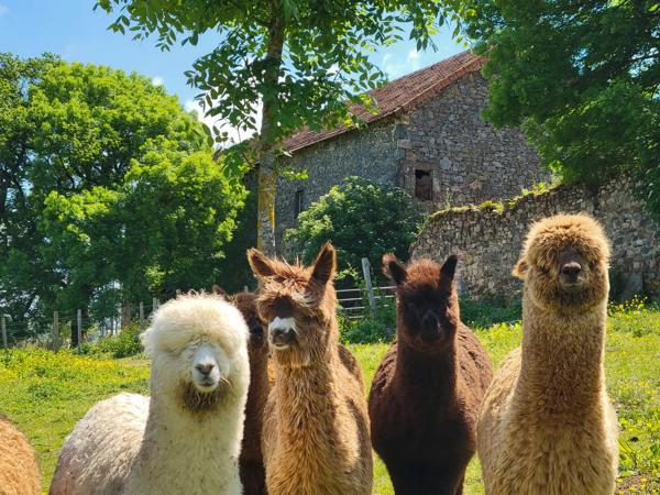 Un havre de paix champêtre avec une activité commerciale opérationnelle au cœur de l'Aveyron