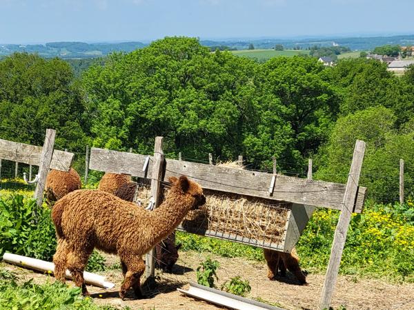 Un havre de paix champêtre avec une activité commerciale opérationnelle au cœur de l'Aveyron