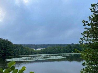 Étang à vendre à Le Val-d'Ajol dans les Vosges (88340), ref : 14815/202500185 ter La Croisette