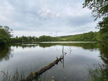 Étang à vendre à Le Val-d'Ajol dans les Vosges (88340), ref : 14815/202500185 ter La Croisette