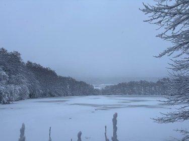 Étang à vendre à Le Val-d'Ajol dans les Vosges (88340), ref : 14815/202500185 ter La Croisette