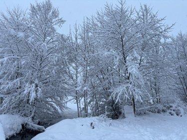 Étang à vendre à Le Val-d'Ajol dans les Vosges (88340), ref : 14815/202500185 ter La Croisette