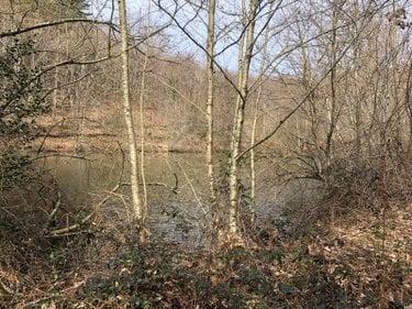 Étang à vendre à Leyme dans le Lot (46120), ref : 46030/TEBE/453