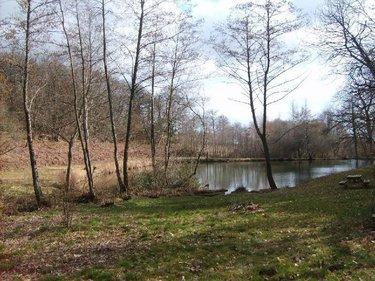 Étang à vendre à Leyme dans le Lot (46120), ref : 46030/TEBE/453