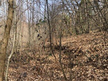 Étang à vendre à Leyme dans le Lot (46120), ref : 46030/TEBE/453