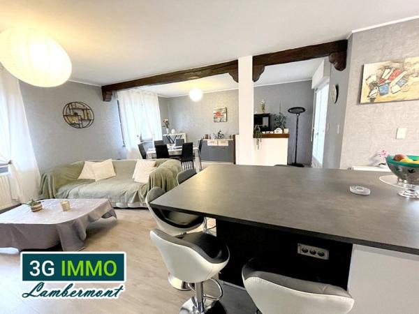 Vente / Maison à Villers-la-Chèvre (54870)