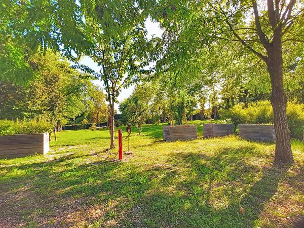 Maison de maître en Bourgogne, 6 pièce(s) 225 m2 sur 4.547 m² terrain