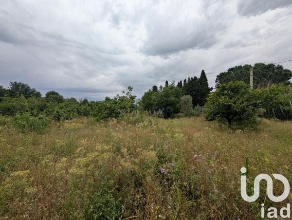 Land for sale 4 877 m² Le Soler