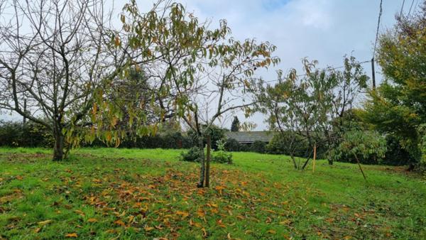 Sadroc , jolie Maison 50 m 2 sur 2000 m2 terrain