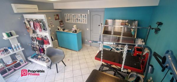 Immeuble de rapport - 90 m² - 4 pièces - local commercial et appartement T2