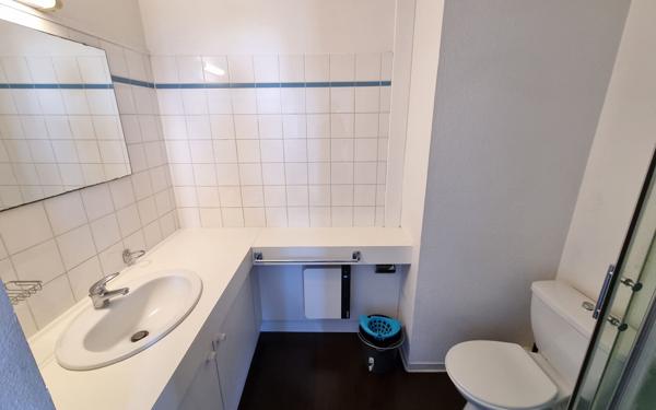 Appartement à louer    1 pièce •  Bischheim