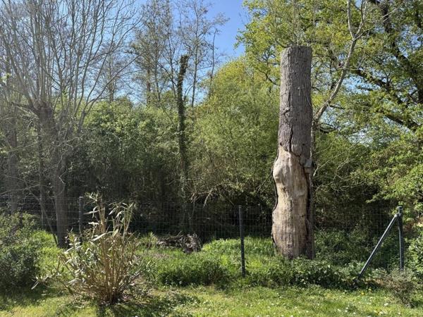 Maison à vendre à Noyalo dans le Morbihan (56450), ref : 56084-470