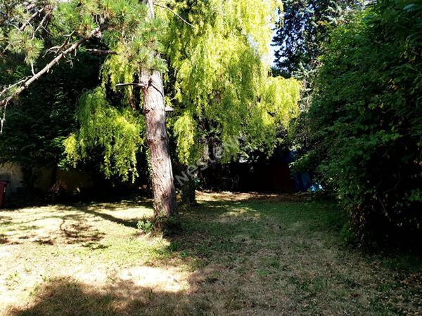 Terrain Torcy 396 m2