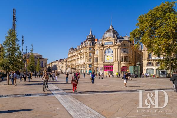 Appartement 3 pièces en plein coeur d'Antigone