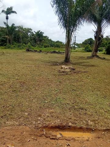 Terrain constructible de 3000 m² à vendre à Sainte Agathe - MACOURIA (973)