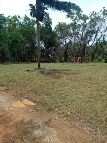 Terrain constructible de 3000 m² à vendre à Sainte Agathe - MACOURIA (973)