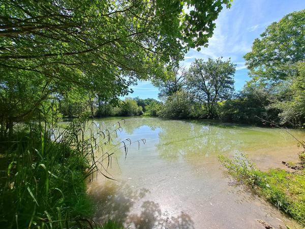 Propriété de Charme avec Lac, Dépendances et Maison d’Amis au Cœur du Gers