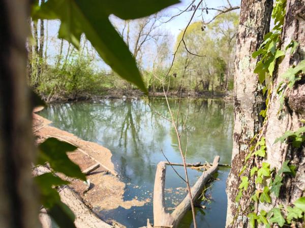 Terrain non constructible bordure Charente à vendre VARS (16)