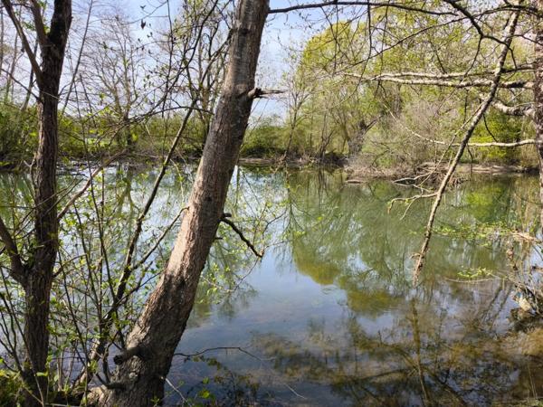 Terrain non constructible bordure Charente à vendre VARS (16)