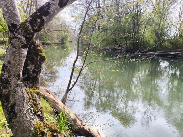 Terrain non constructible bordure Charente à vendre VARS (16)