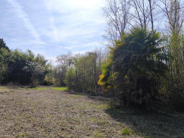 Terrain non constructible bordure Charente à vendre VARS (16)