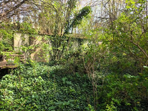 Terrain non constructible bordure Charente à vendre VARS (16)