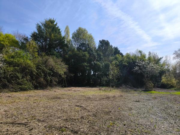 Terrain non constructible bordure Charente à vendre VARS (16)