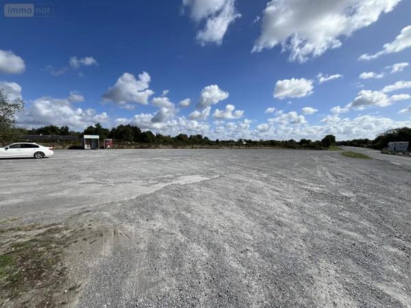 Achat - Fonds et/ou murs commerciaux Saint-Germain-des-Prés 49170 320 m 2 6765 m 2