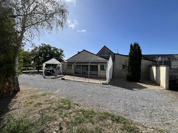 Achat - Fonds et/ou murs commerciaux Saint-Germain-des-Prés 49170 320 m 2 6765 m 2