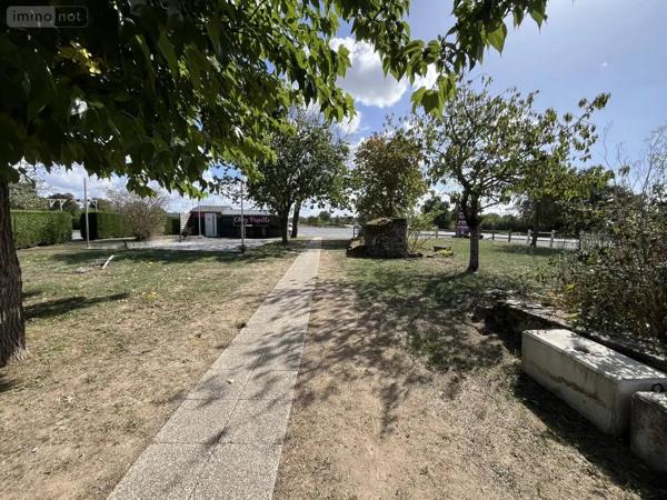 Achat - Fonds et/ou murs commerciaux Saint-Germain-des-Prés 49170 320 m 2 6765 m 2