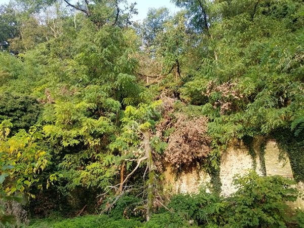 Terrain constructible a Epernon